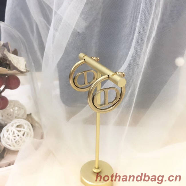Dior Earrings CE5147