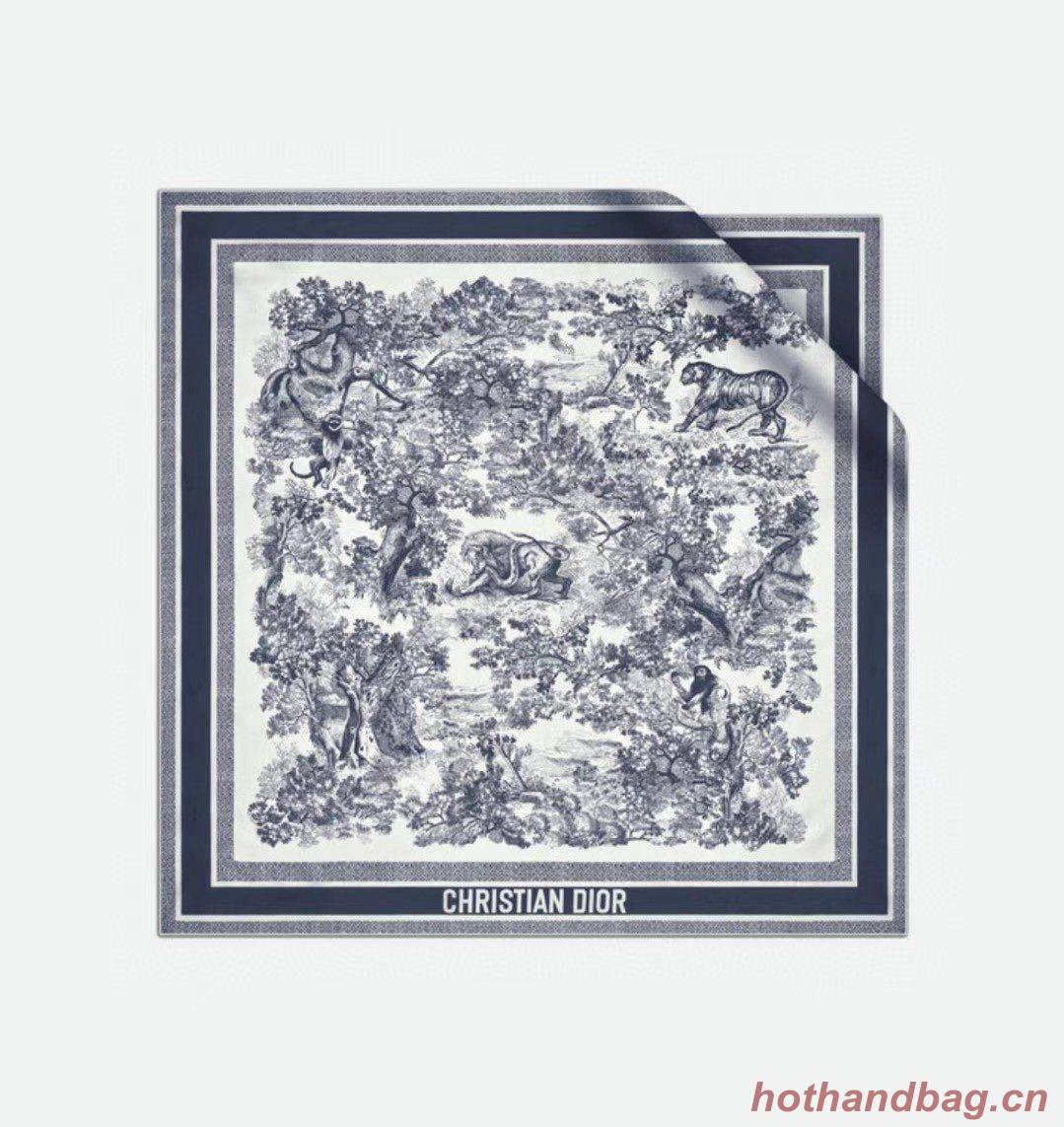 Dior Scarf DIC00075