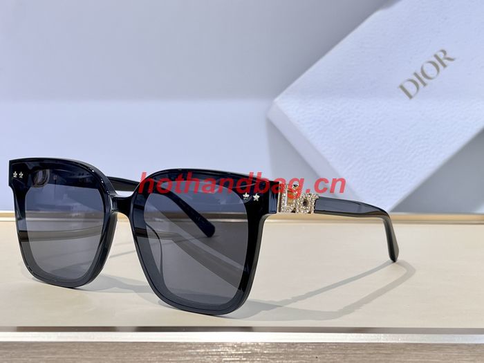 Dior Sunglasses Top Quality DIS02864