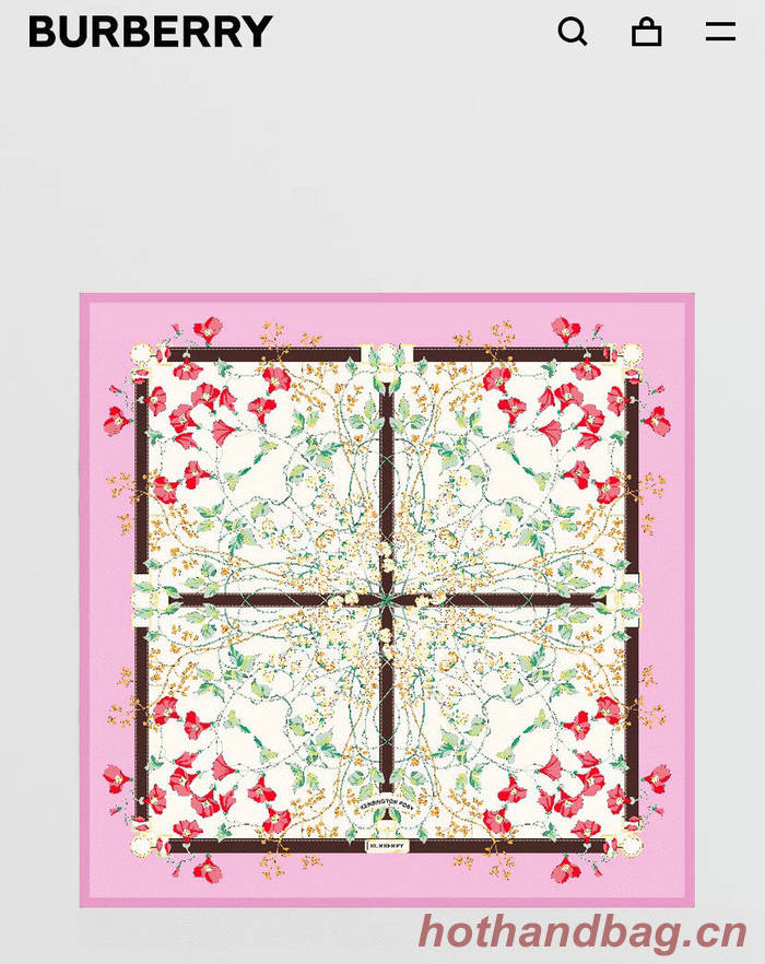 Burberry Scarf BBC00122 Burberry Scarf BBC00122