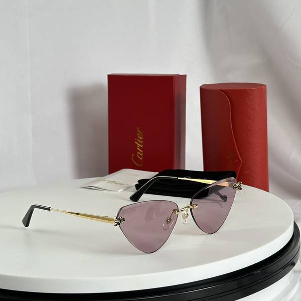 Cartier Sunglasses Top Quality CAS01613