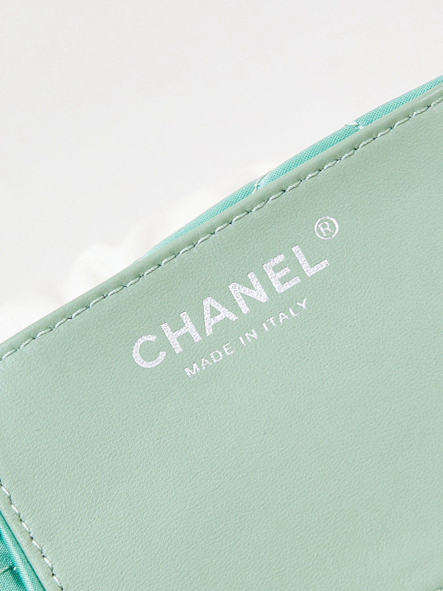 CHANEL 22 MINI HANDBAG AS3980 White & Light green CHANEL 22 MINI HANDBAG AS3980 White & Light green