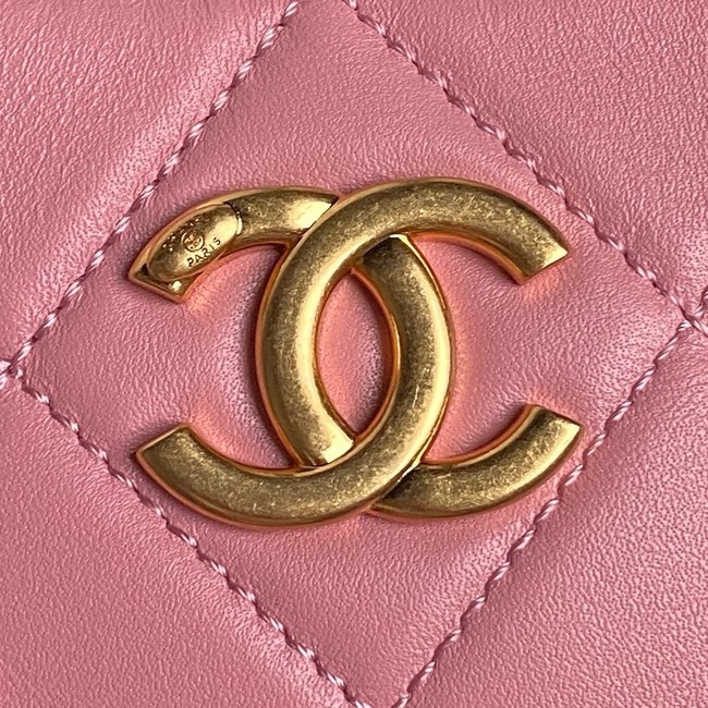 Chanel HOBO HANDBAG AS5177 pink