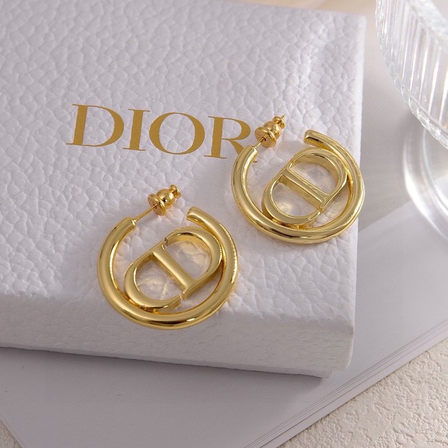 Dior Earring CE15800