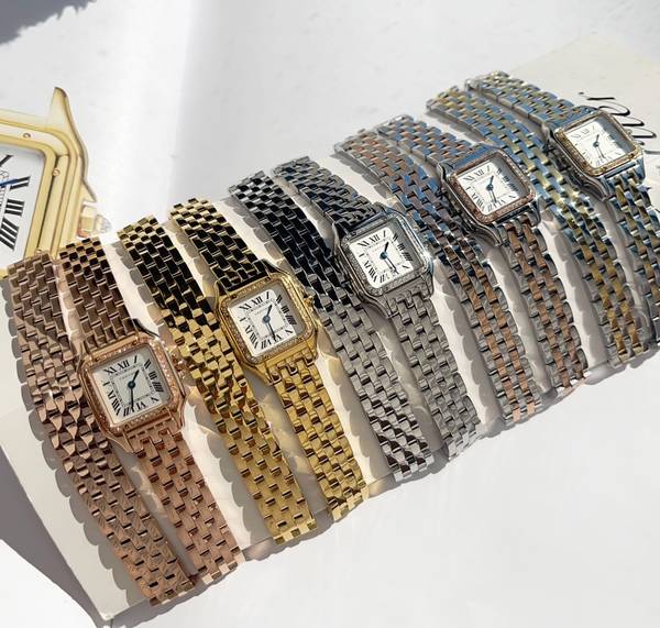 Cartier Watch CTW00720