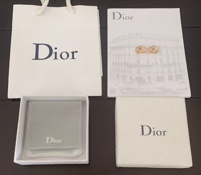 Dior Earring CE16527