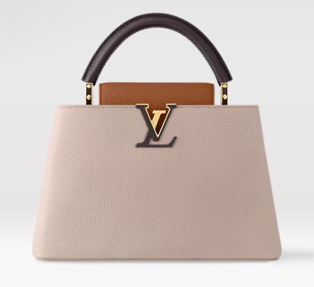 Louis Vuitton Capucines MM M12956 Galet& Tan & Chocolate