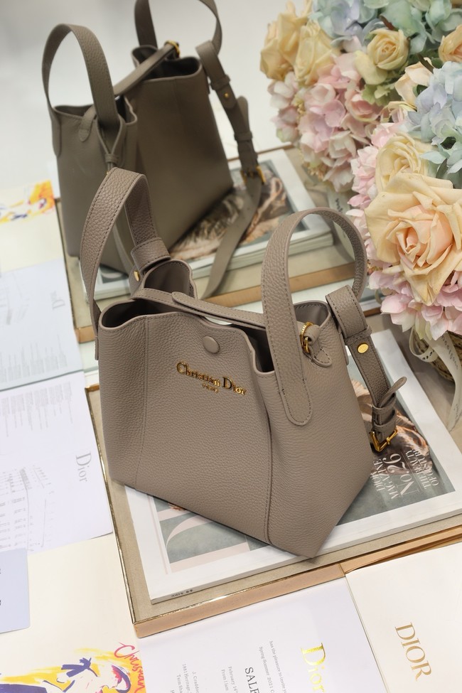 Dior Medium Signature Bucket Bag Grained Calfskin M2841USKU gray