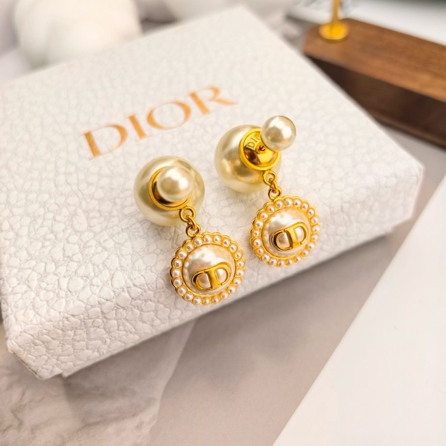 Dior Earring CE16575