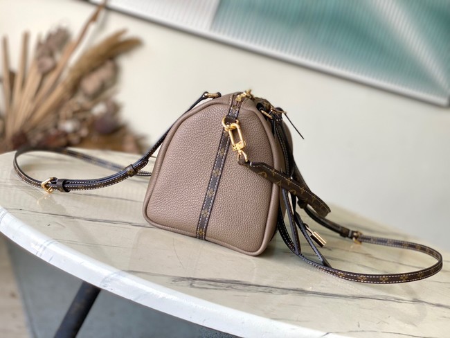 Louis Vuitton Side Trunk MM M13667 gray