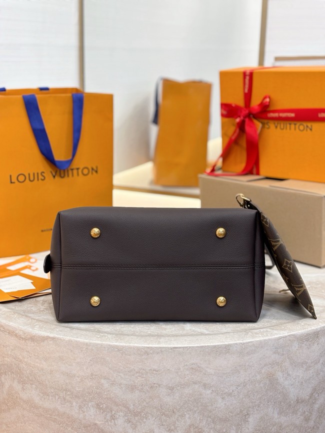 Louis Vuitton Taurillon leather M12982 Chocolate