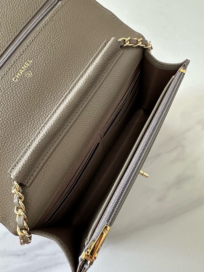 Chanel Classic Wallet On Chain Grained Calfskin AP4241-13