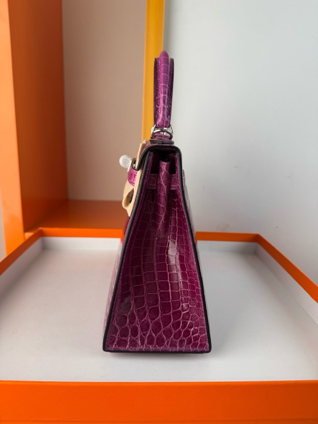 Hermes Kelly Shoulder Bags Nile crocodile leather KL3598-1