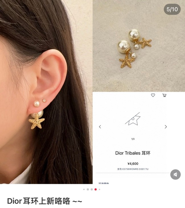 Dior Earring CE16948