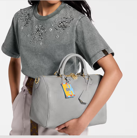 Louis Vuitton Speedy Soft 30 M25670 Cloud Gray