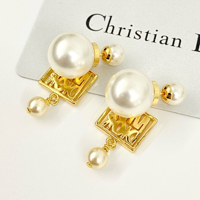 Dior Earring CE16979