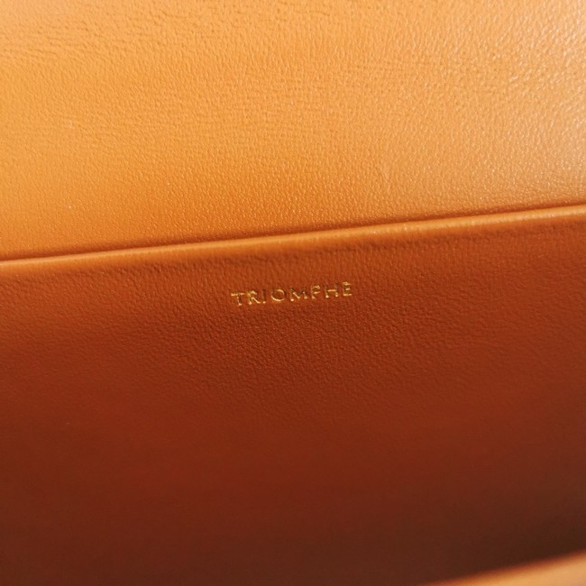 Celine CHAIN SHOULDER BAG TRIOMPHE IN SHINY CALFSKIN 197992 TAN