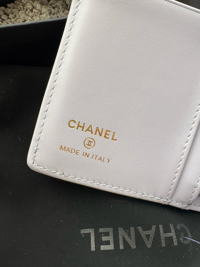 Chanel Passport Holder 96066 light Purple