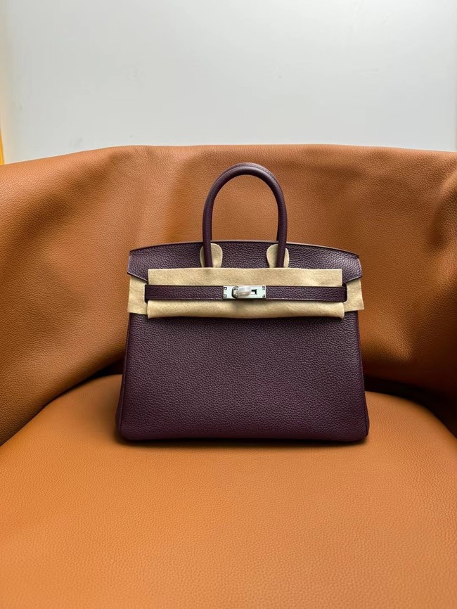 Hermes Birkin Bag togo Leather 5570-11