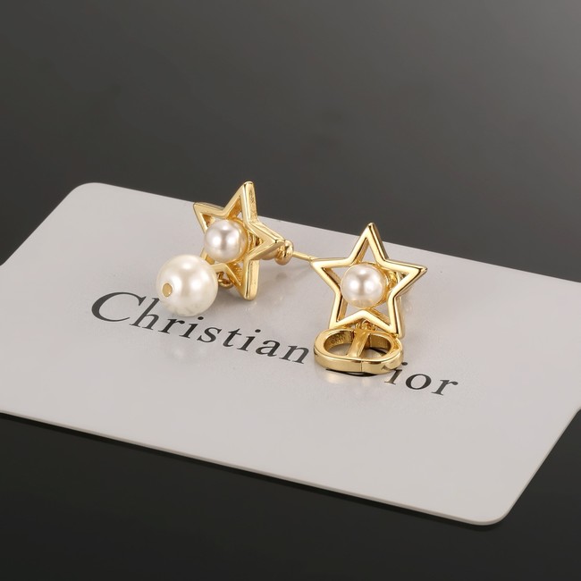 Dior Earrings CE80977