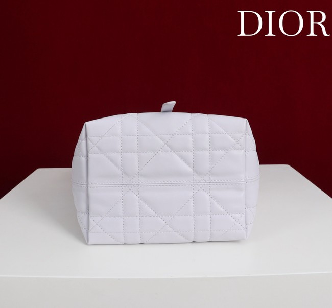 Small Dior Toujours Vertical Tote Bag M2835OSNW white
