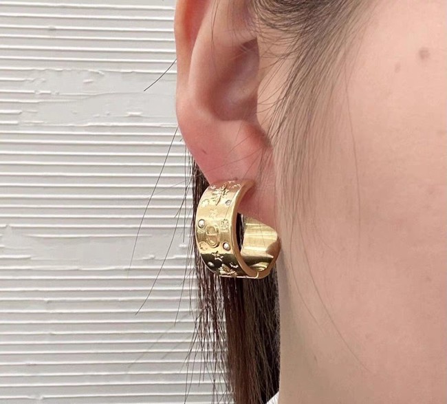 Dior Earring CE80999