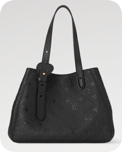 Louis Vuitton NEW All In One PM M25858 black