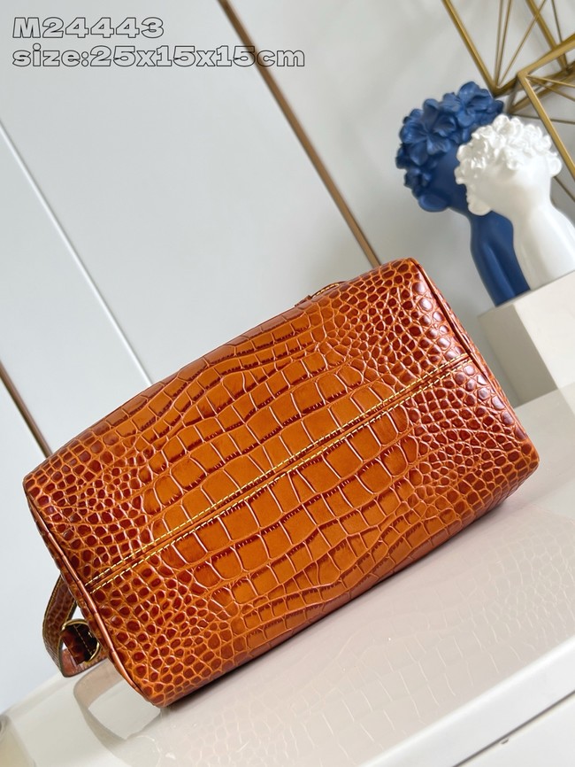 Louis Vuitton Speedy M24443 black