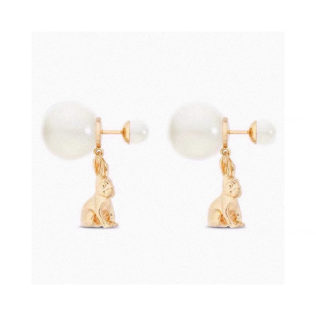 Dior Earring CE81677