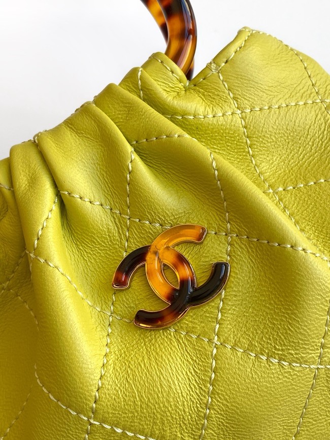 CHANEL mini Hobo Bag AS4981 green