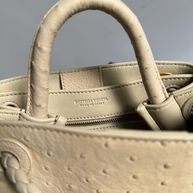Bottega Veneta Mini Andiamo Sapele 805232 Brass finish