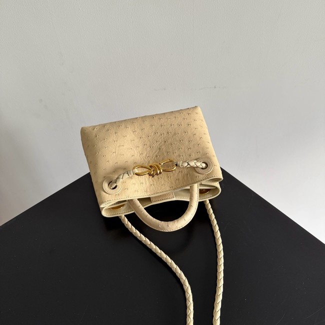 Bottega Veneta Mini Andiamo Sapele 805232 Brass finish