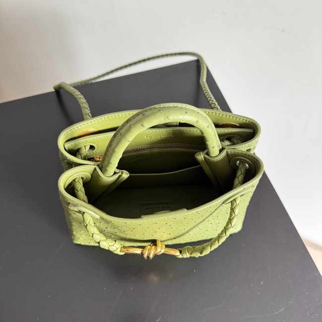 Bottega Veneta Mini Andiamo Sapele 805232 green
