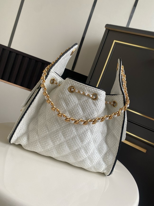 CHANEL 25 Small Handbag Printed Fabric AS5293 white