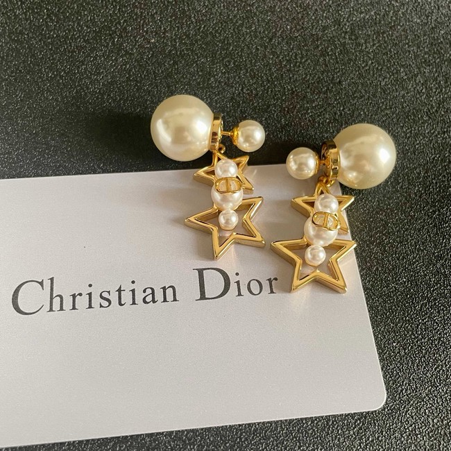 Dior Earring CE81959