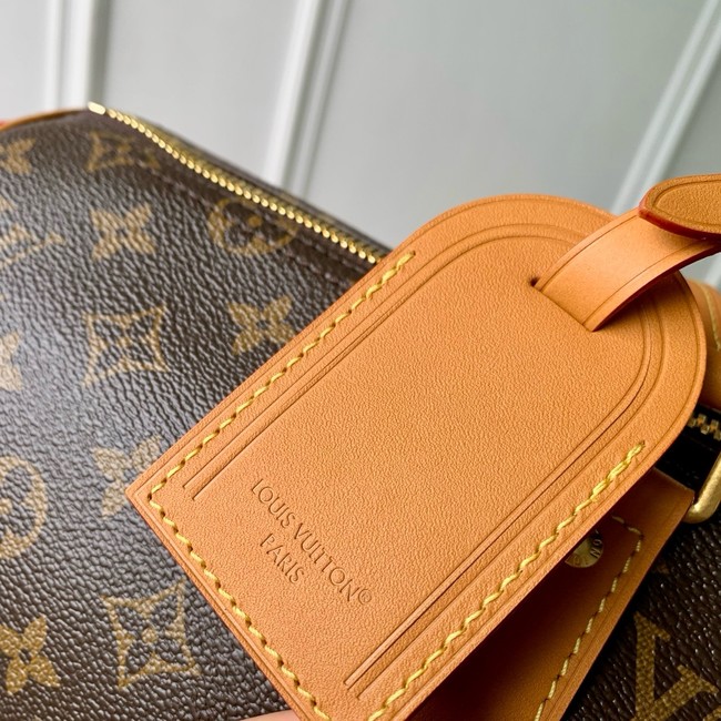 Louis Vuitton Needle Bag M28116