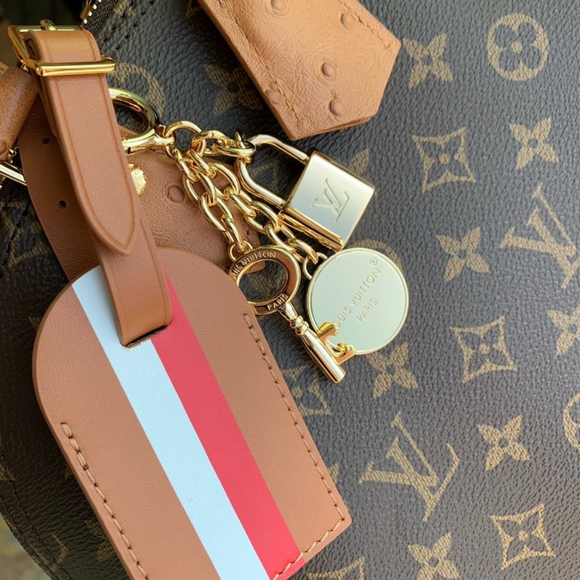 Louis Vuitton Alma MM Soft Celebration N30049