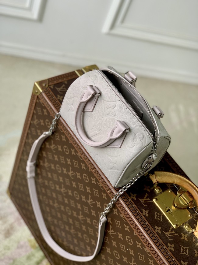 Louis Vuitton Speedy 20 M28343 light gray