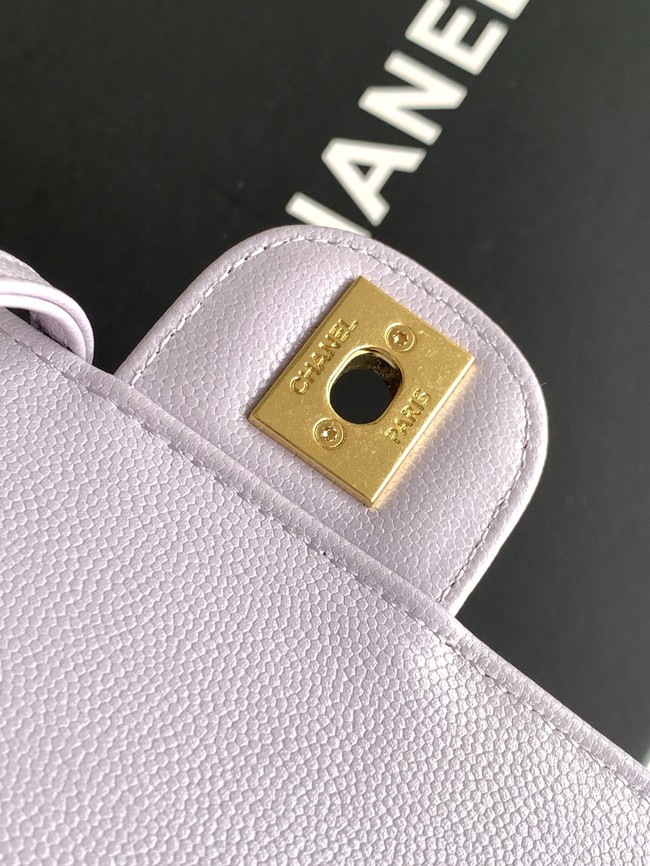 Chanel Small Flap Bag AP6130 violet