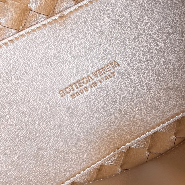 Bottega Veneta Medium Andiamo 766016V Amber