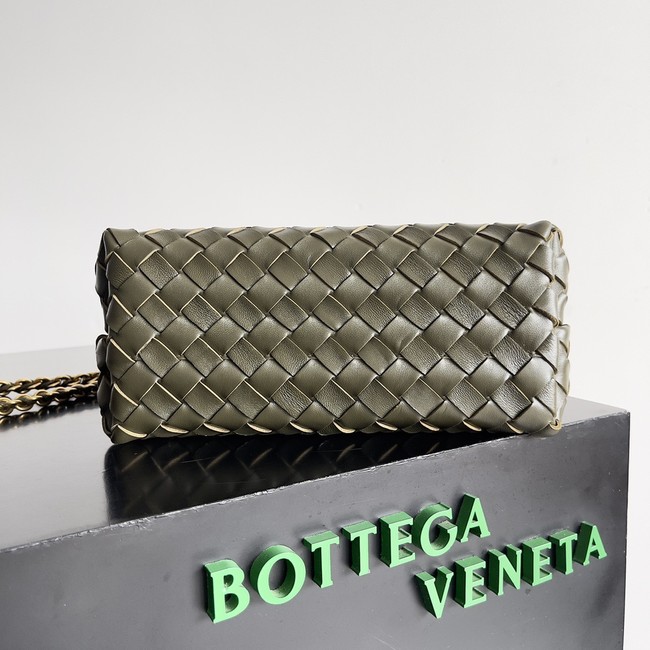 Bottega Veneta Small Andiamo 766014 Pickle