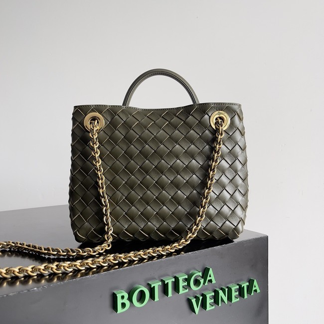 Bottega Veneta Small Andiamo 766014 Pickle