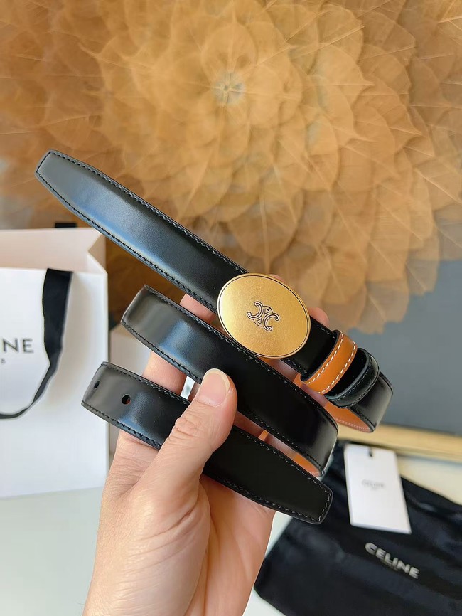 Celine Thin Plate Belt IN 25MM Taurillon Leather B10673-8